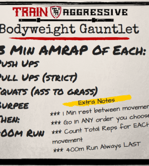 combat strength training reviews